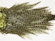 7570 Coq De Leon Dry Fly Hackle Bronze Grade Rooster Saddle Olive Ties Size NA
