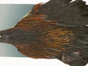 M663 Metz Hen Cape Grade #1 Furnace Variant