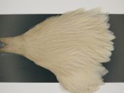 M702 Metz Hen Cape Grade #1 Dun Variant