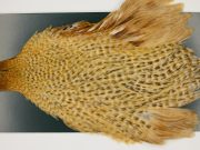 M727 Metz Hen Cape Grade #1 Barred Variant