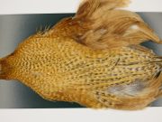 M737 Metz Hen Cape Grade #1 Barred Variant