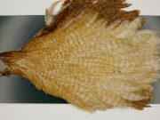 M742 Metz Hen Cape Grade #1 Barred Variant