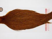 12656 Whiting Dry Fly Hackle Bronze Grade Rooster Cape Grizzly Burnt Orange Ties Size 10-22