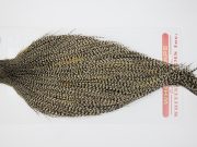 12748 Whiting Dry Fly Hackle Pro Grade Rooster Cape Grizzly Variant Ties Size 10-20