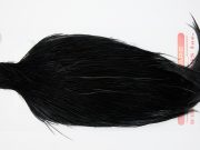 12767 Whiting Dry Fly Hackle Pro Grade Rooster Cape Black Ties Size 8-22