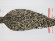 12789 Whiting Dry Fly Hackle Pro Grade Rooster Saddle Grizzly Ties Size 10-20