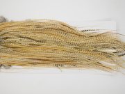 12831 Whiting Hackle Bronze Grade Midge Saddle Variant Ties Size 18-20