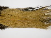 12837 Whiting Hackle Bronze Grade Midge Saddle Golden Badger Ties Size 14-18
