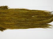 12848 Whiting Hackle Pro Grade Midge Saddle Grizzly Golden Olive Ties Size 14-18