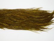12849 Whiting Hackle Pro Grade Midge Saddle Grizzly Golden Olive Ties Size 14-18