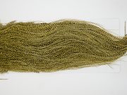 12852 Whiting Hackle Pro Grade Midge Saddle Grizzly Pale Yellow Ties Size 18-20