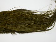 12854 Whiting Hackle Pro Grade Midge Saddle Grizzly Dark Olive Ties Size 18-22