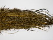 12873 Whiting Hackle Pro Grade Midge Saddle Grizzly Golden Straw Ties Size 18-22