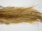 12943 Whiting Dry Fly Hackle Bronze Grade Rooster Saddle Barred Medium Ginger Ties Size 14-18