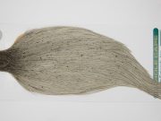 13017 Hebert Dry Fly Hackle Pro Grade Rooster Cape Light Grey Dun Ties Size 8-22