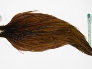 13027 Hebert Dry Fly Hackle Pro Grade Rooster Cape Rusty Dun Ties Size 10-20