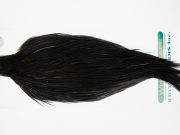13035 Hebert Dry Fly Hackle Pro Grade Rooster Cape Black Ties Size 10-20