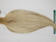 13048 Hebert Dry Fly Hackle Pro Grade Rooster Cape Pale Watery Dun Ties Size 10-20