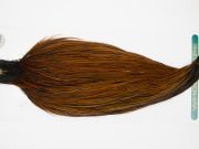 13058 Hebert Dry Fly Hackle Pro Grade Rooster Cape Furnace Ties Size 10-22