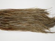 13085 Hebert Dry Fly Hackle Bronze Grade Rooster Saddle Dun Grizzly Ties Size 14-16
