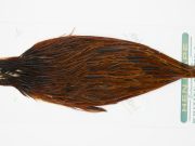 13136 Hebert Hen Cape Brown