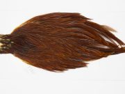13137 Hebert Hen Cape Brown