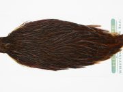 13138 Hebert Hen Cape Brown