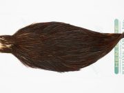 13139 Hebert Hen Cape Brown