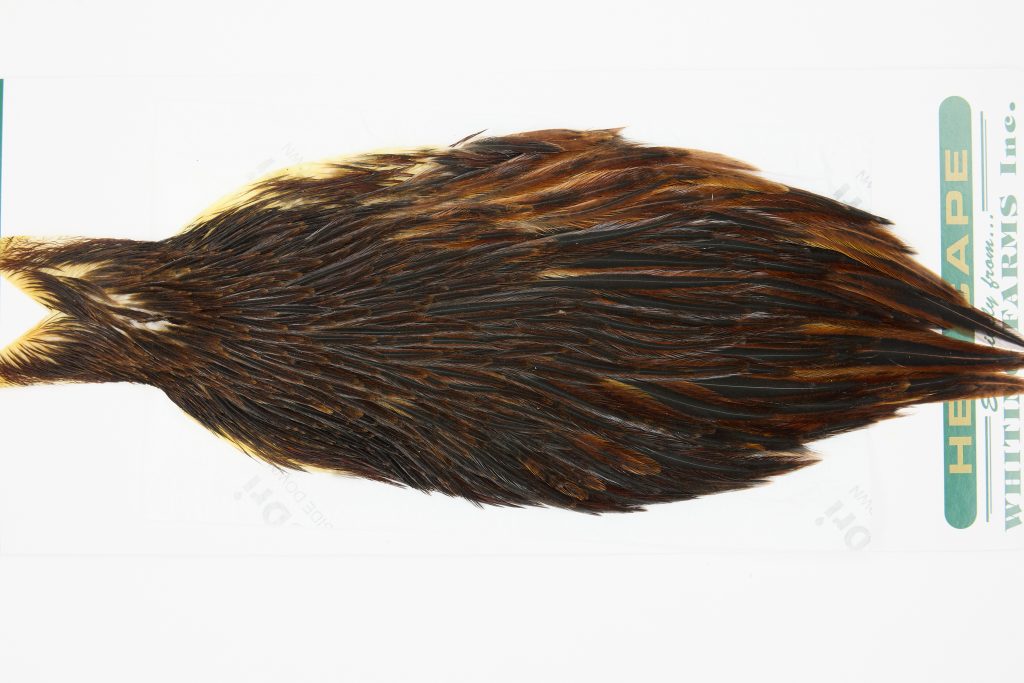 13141 Hebert Hen Cape Brown
