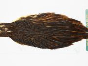 13141 Hebert Hen Cape Brown