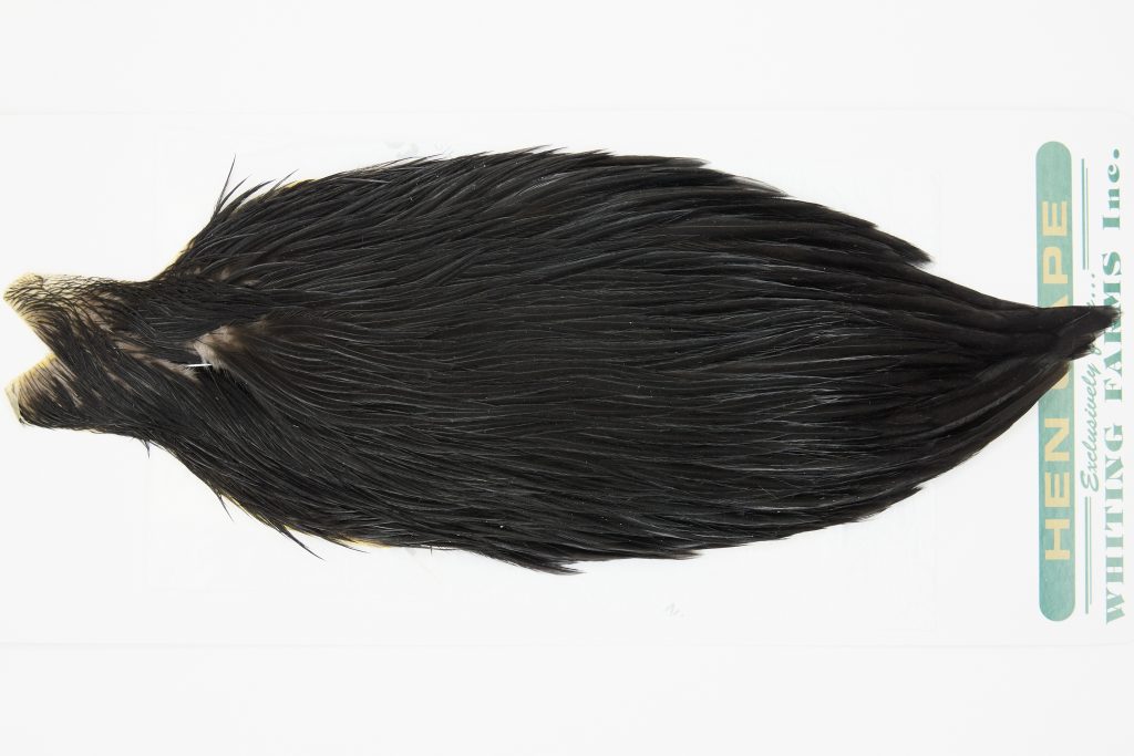 13142 Hebert Hen Cape Black