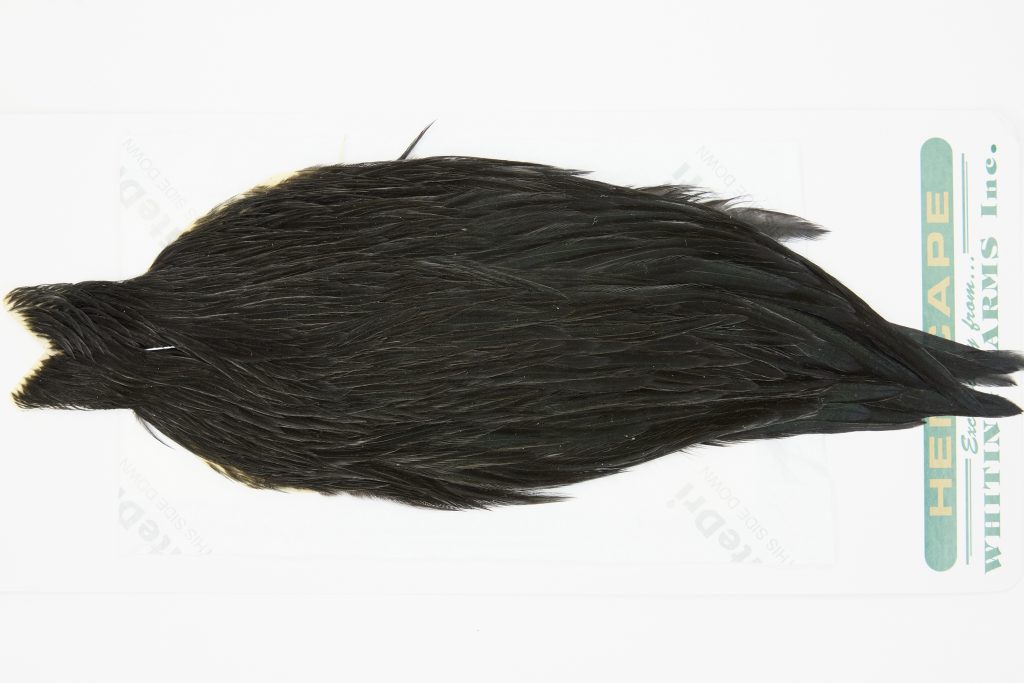 13143 Hebert Hen Cape Black