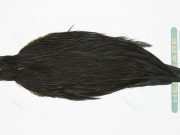 13143 Hebert Hen Cape Black