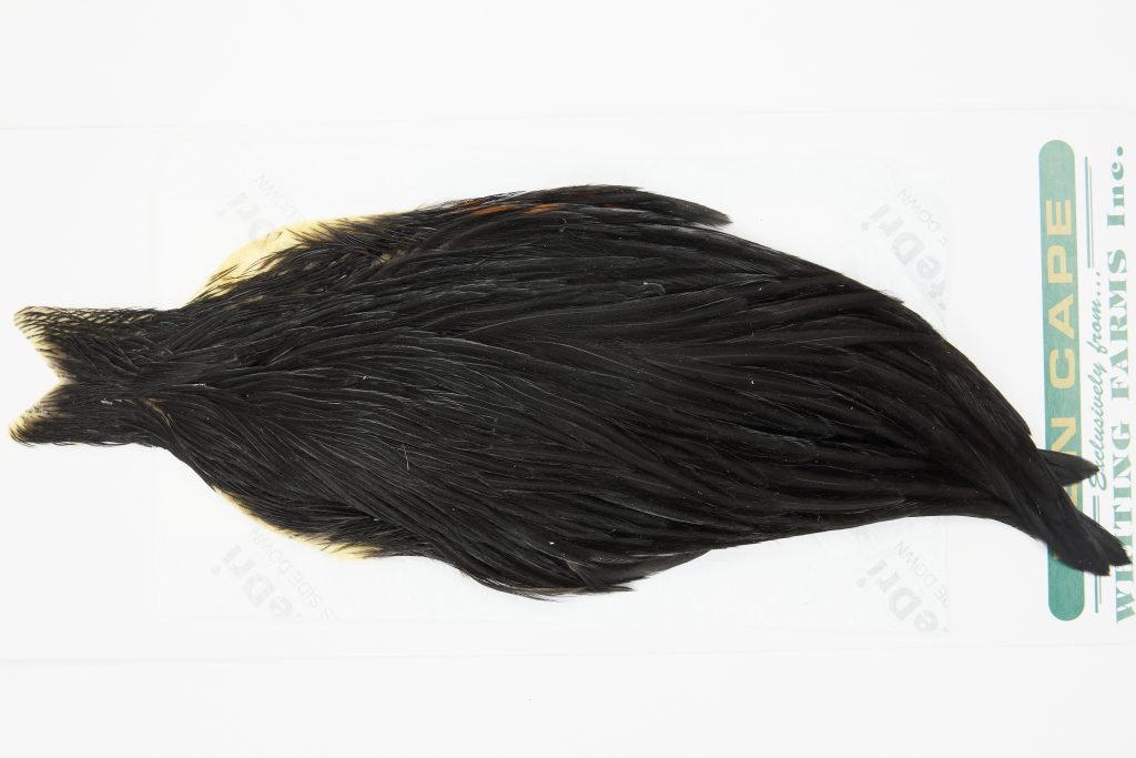 13144 Hebert Hen Cape Black