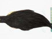 13144 Hebert Hen Cape Black