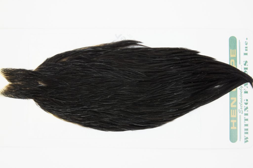 13145 Hebert Hen Cape Black