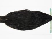 13145 Hebert Hen Cape Black