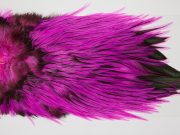 FWRS2 Hackle Unknown Badger Pink