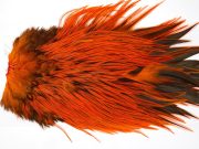 FWRS4 Hackle Unknown Badger Orange