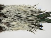 FWRS7 Hackle Unknown Silver Badger