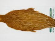 13155 Hebert Hen Cape Medium Ginger