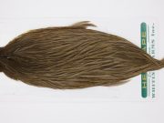 13172 Hebert Hen Cape Brown Grey Dun