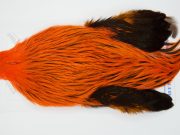 FWRC1 Hackle Unknown Badger Orange