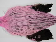 FWRC10 Hackle Unknown Badger Shell Pink