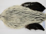 FWRC12 Hackle Unknown Silver Badger