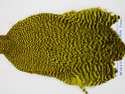 FWRC16 Hackle Unknown Grizzly Yellow