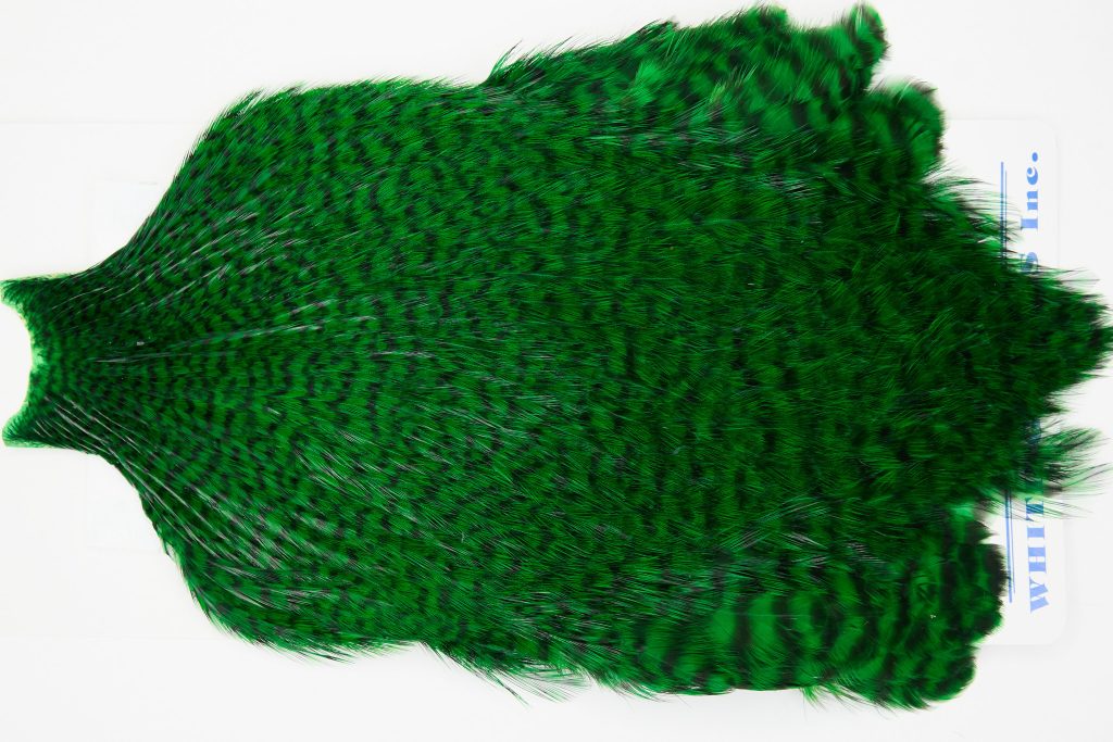 FWRC17 Freshwater Wet Fly Hackle Rooster Cape Grizzly Highlander Green