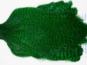FWRC17 Hackle Unknown Grizzly Highlander Green