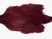 FWRC18 Hackle Unknown Grizzly Burgandy