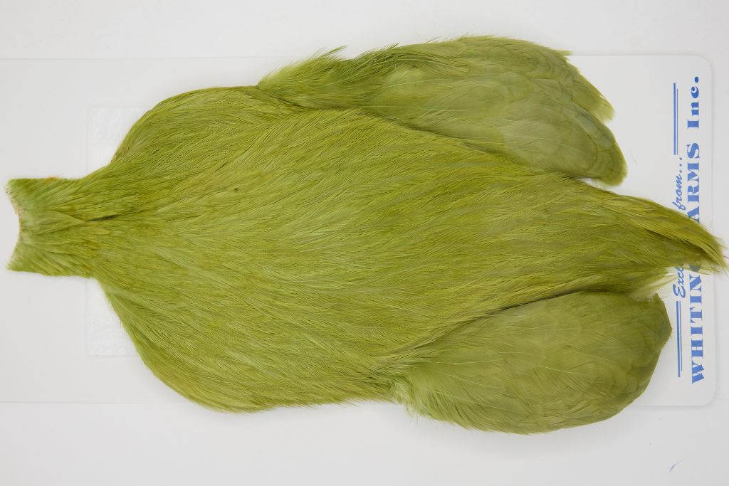 FWRC19 Freshwater Wet Fly Hackle Rooster Cape Olive